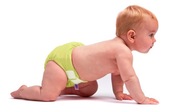 Bambino Mio miosolo nappy