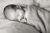 Clare Greenaway Photography