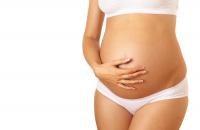 Your Pregnancy