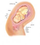 Week 39