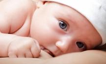 Breastfeeding Support