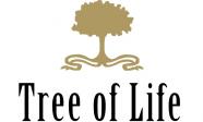 Ashtanga, Hatha and Pregnancy Yoga
