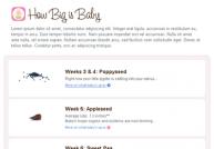 How big is baby?