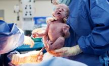 Gynaecologists