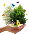 Live a more eco-friendly life for your family