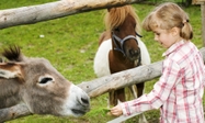 Causey Farm