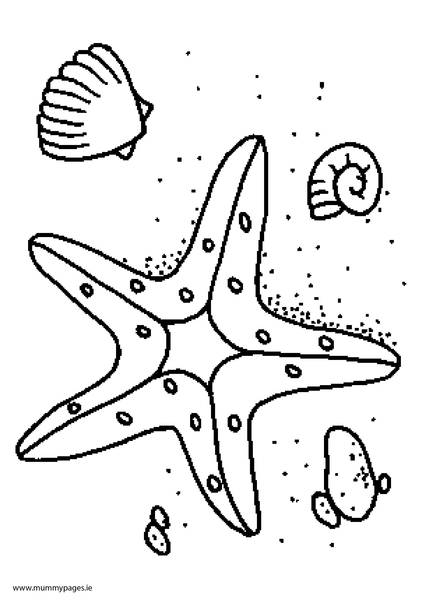 Starfish Colouring Page | MummyPages.MummyPages.ie