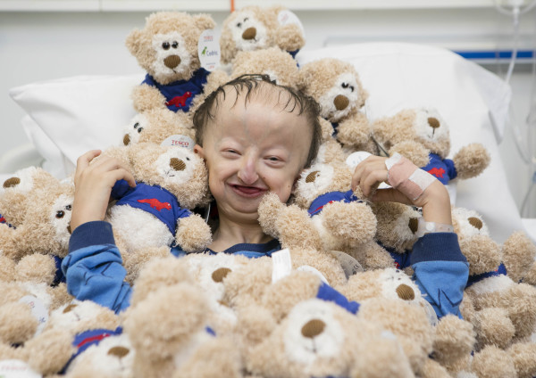 Tesco teddy bear store cedric to buy